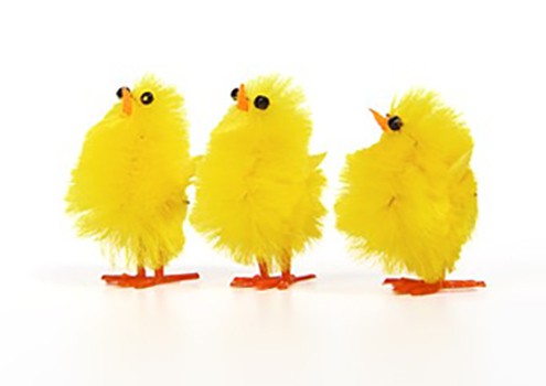 Easter-chicks-2018