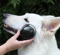 Airnergy-Stream-Dog-Treatment