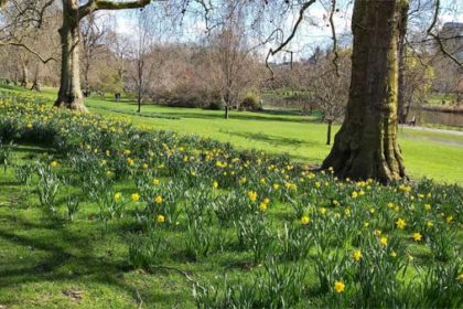Peace and Quiet Eases Stress