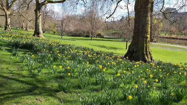 Peace and Quiet Eases Stress
