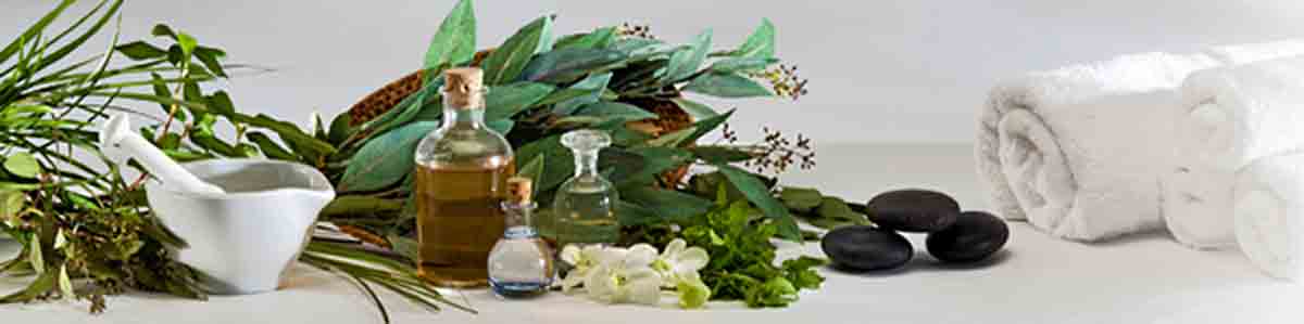 Natural-Patches-of-Vermont Current-Offers