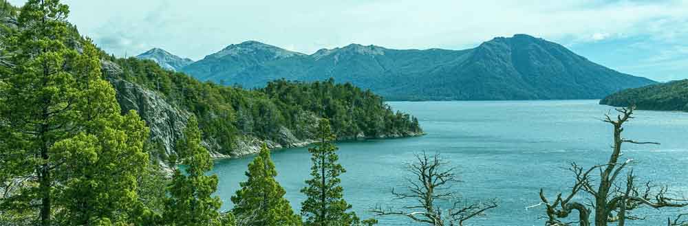 Airnergy forest lake photosynthesis